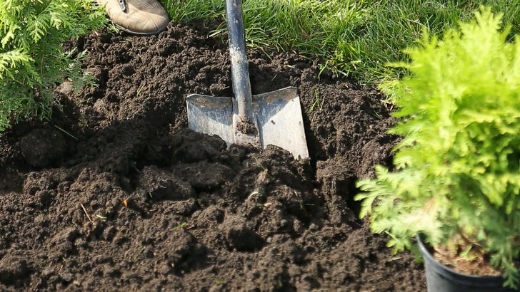 Перекопка почвы — лучший способ улучшить дренаж