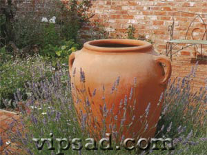 Глиняная ваза в окружении ароматных трав