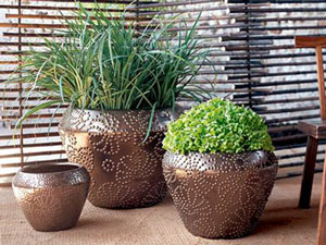 садовые растения в керамических горшках